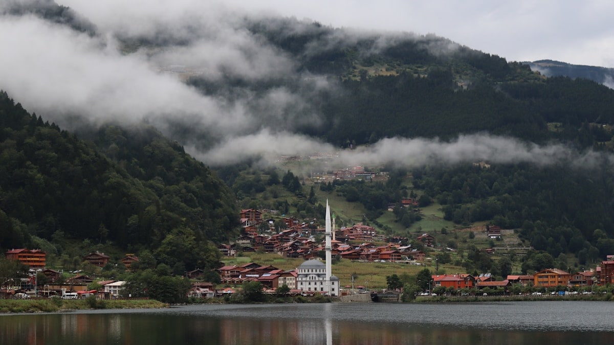 a city with a body of water and mountains in the background